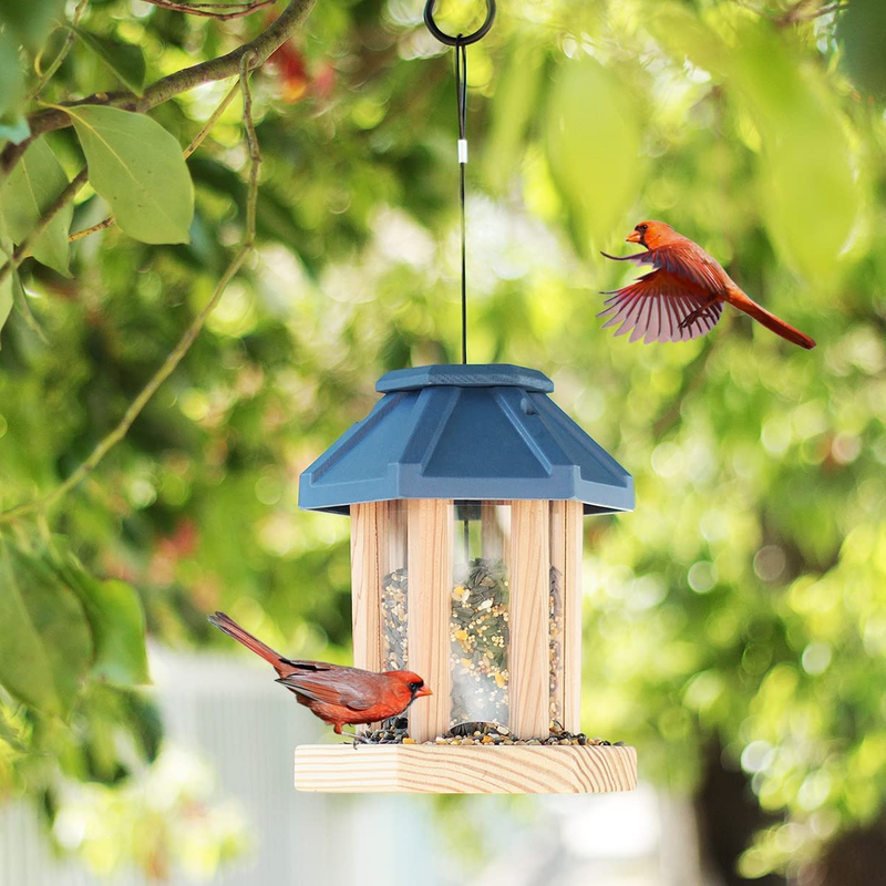 Kits For Kids To Build Bird Feeder | Bird-feeder.org