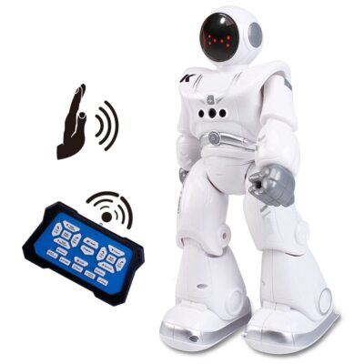 HUMANROBOT パンデッド ELECTRIC TOY限定　2個セット HUMANROBOT パンデッド ELECTRIC TOY限定 2個セット - メルカリ