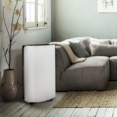 All-year-around Dehumidifier Heater