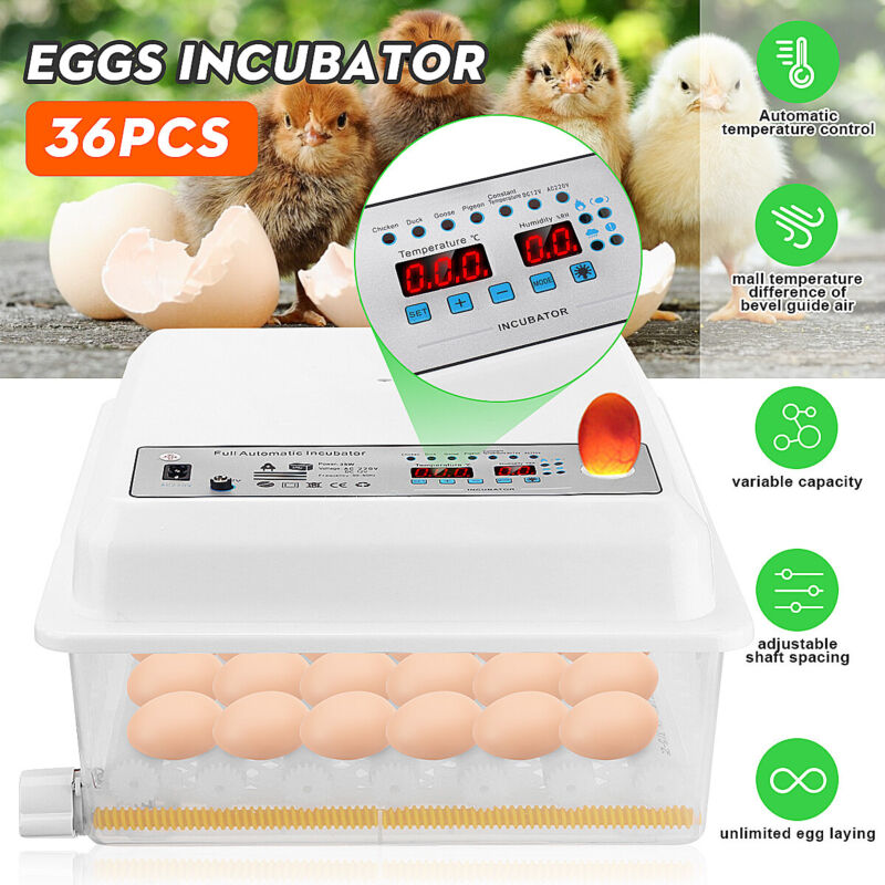 36 Egg Incubator Eggs Fully Digital Automatic Hatcher Hatching Chicken/Duck/Bird