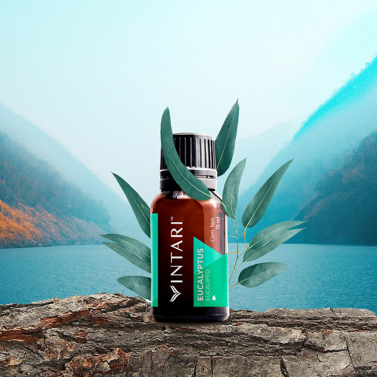 0.5 Fl Oz (eucalyptus) 100% Pure, Undiluted, Natural Aroma