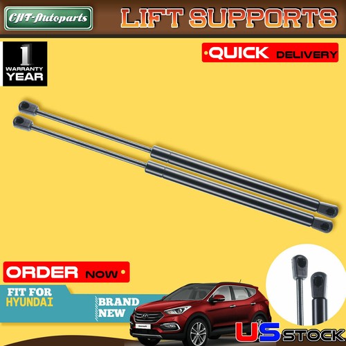 2x Hood Lift Supports Shock Struts Springs Props for Hyundai Santa Fe 2007-2012