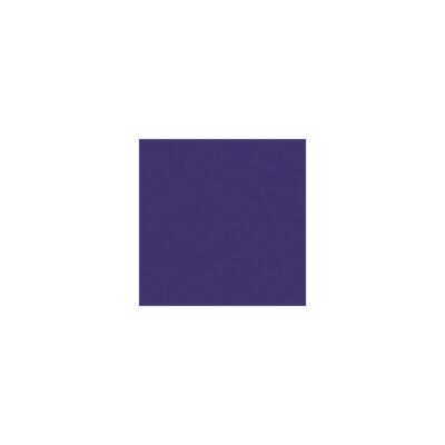 Rosco 47 Roscolux Light Rose Purple, цветной фильтр 20x24 #100000472024