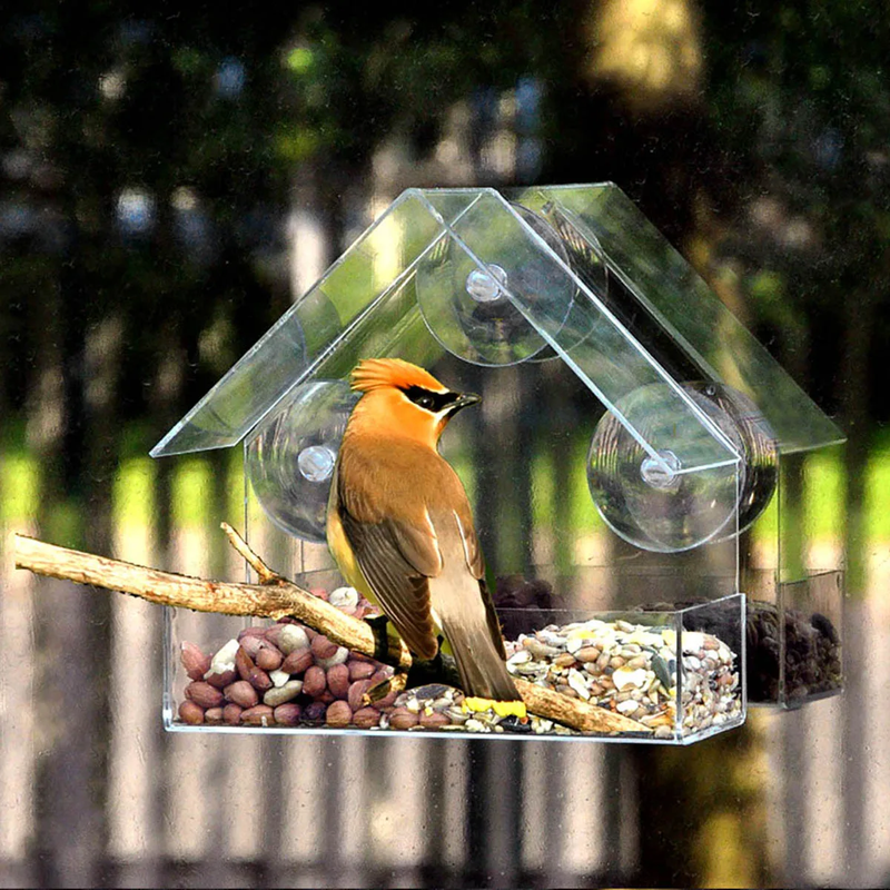 House Transparent Wild Table Removable Suction Cups Slid