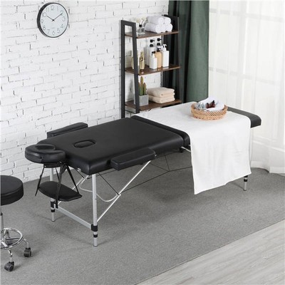 Heavy duty Aluminum Portable Massage Table Adjustable with Headrest Armrest 550