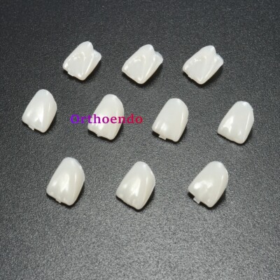 Dental Resin Realistic Porcelain Temporary Teeth Crown Veneer Anterior/Posterior