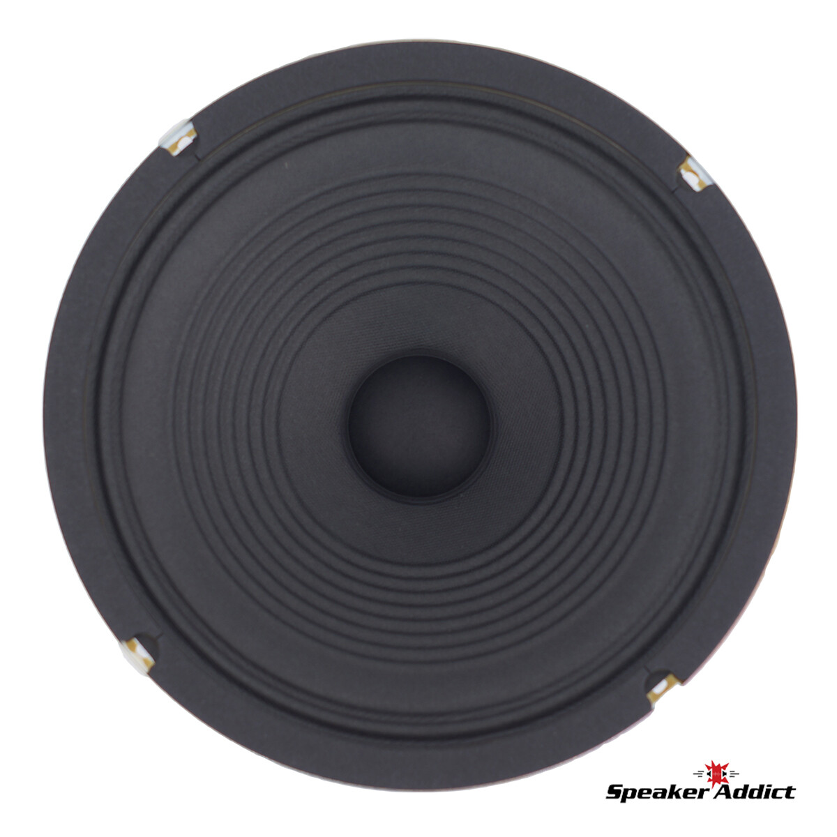 ampeg 10 inch replacement speakers