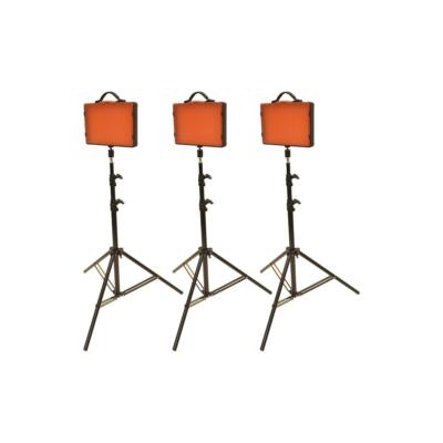 Комплект трехточечного студийного света Bescor LED220 #LED220T