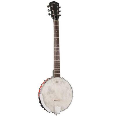 6-струнное банджо Washburn B6 с открытой спинкой, матовое, натуральное #B6-A-U