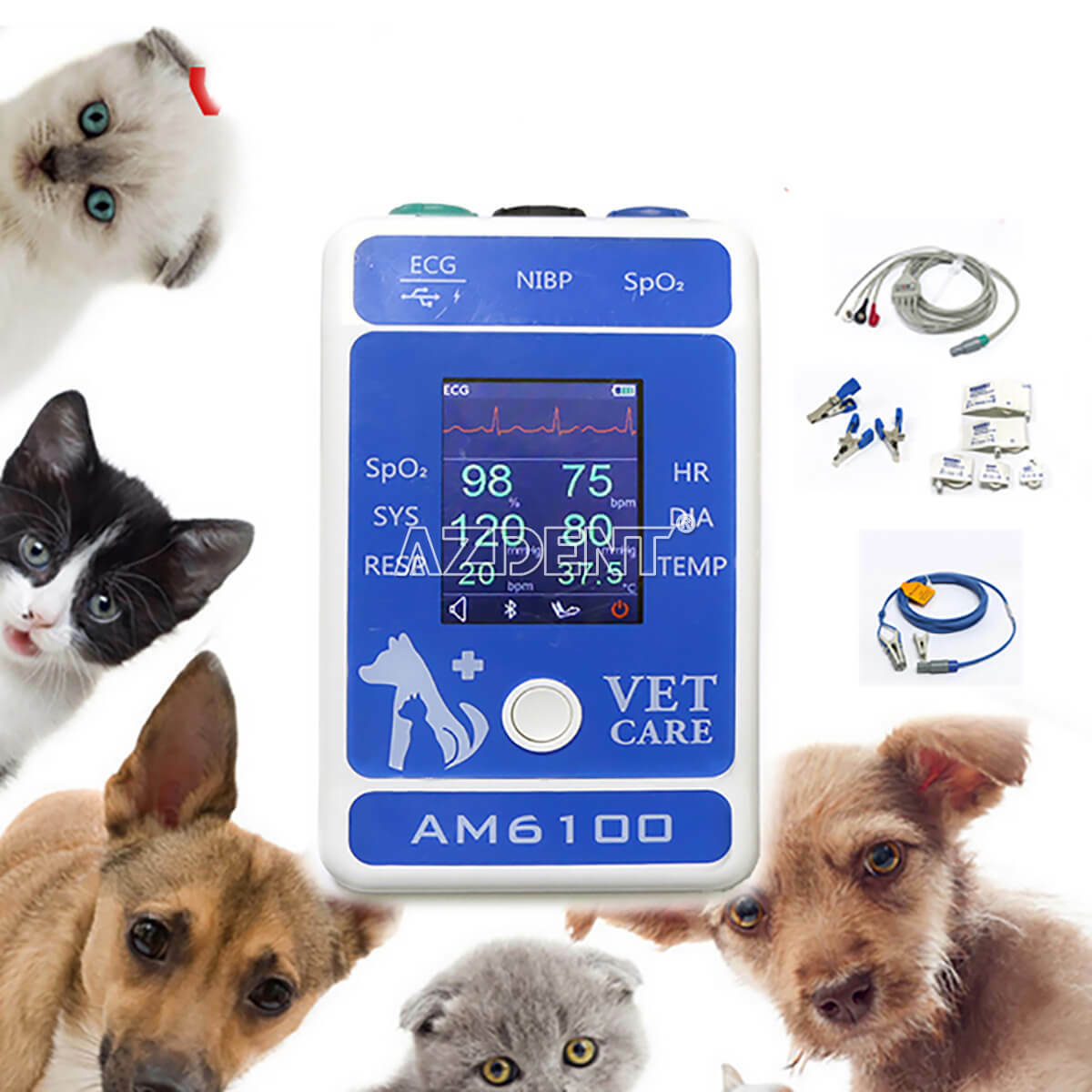 Veterinary Patient Monitor Animal Portable Monitor AM6100 Android Pet ...