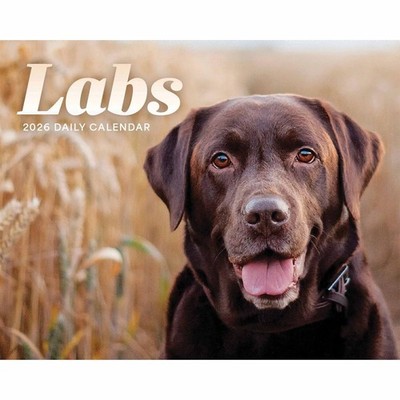 Labrador Retrievers Desk Calendar 2026