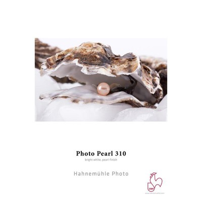 Бумага Hahnemuhle Photo Pearl 310, 8,5x11, 25 листов #10641130