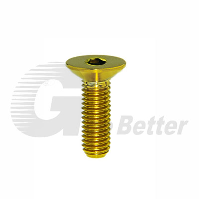 M3 M4 M5 M6 M8 Titanium Flat Head Countersunk Bolts Screw Allen Hex Key GR5 Ti