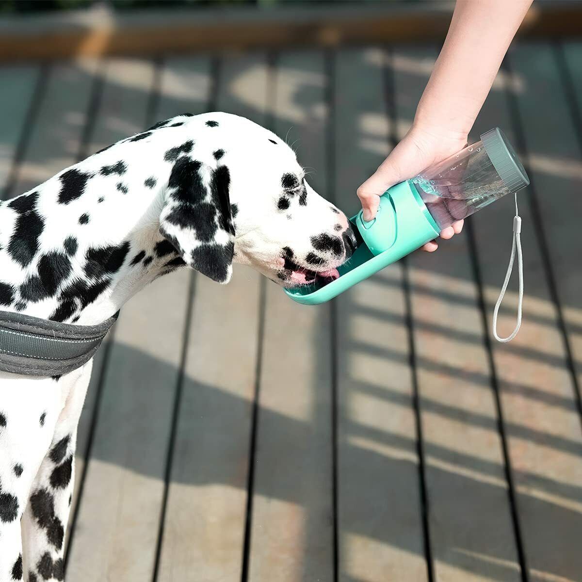 Portable Dog Water Bottle with Filter Outdoor Pet Drinking Dispenser Bowl