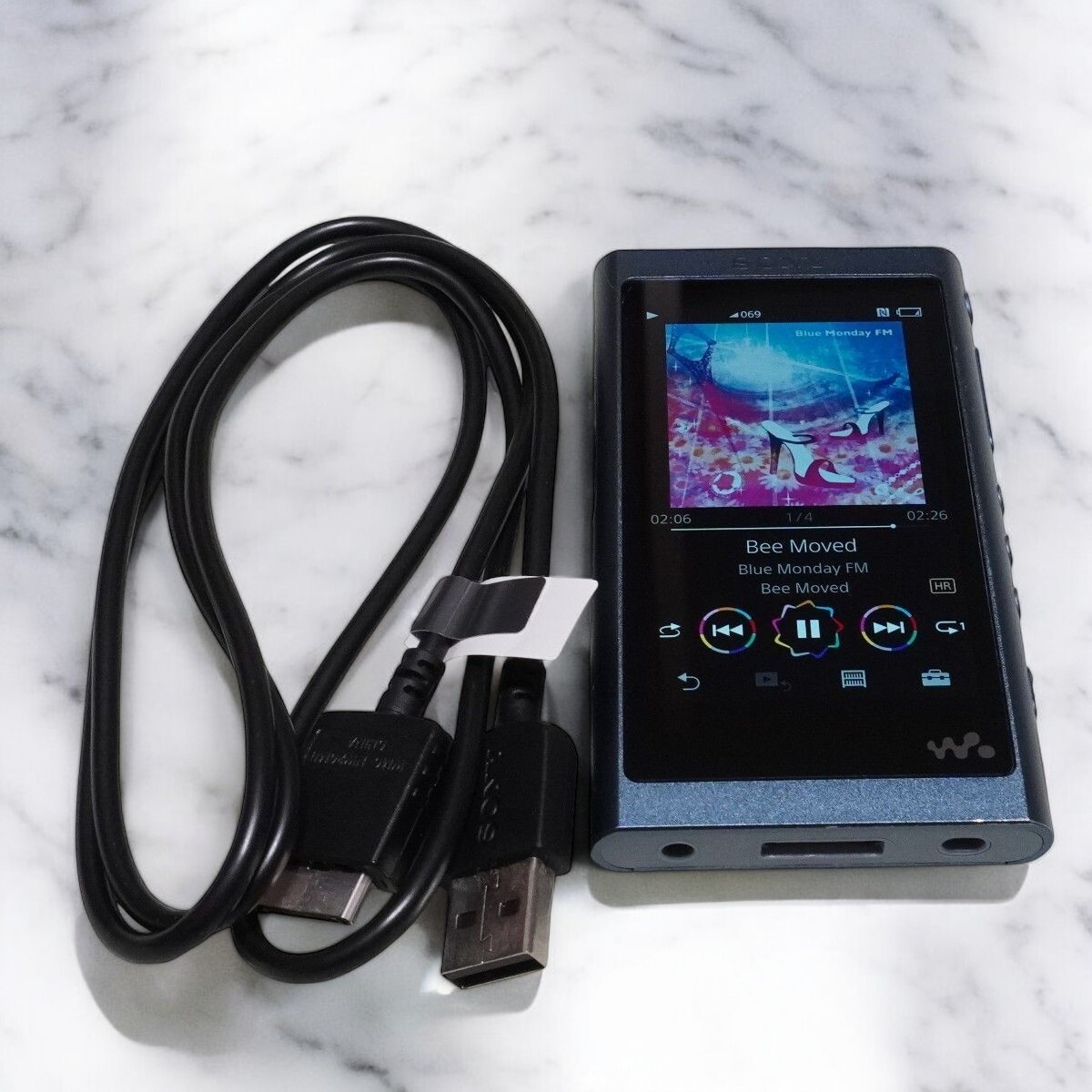 選ぶなら Sony NW-A55 Blue Walkman Digital Audio Player Hi-Res | eBay ポータブルプレーヤー