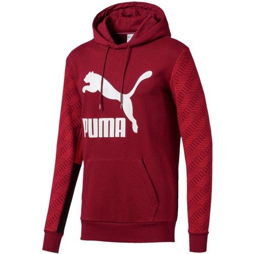 

[595265-27] Мужская толстовка с капюшоном Puma CLASSICS GRAPHIC AOP, Rhubarb