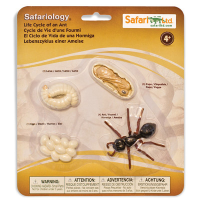 Жизненный цикл Муравья Фигурки Safari Ltd НОВЫЕ Игрушки Развивающие фигурки 