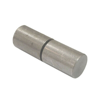 2'' Gate Barrel Hinge Small Steel No Ball Bearing Weld Plate Grease F