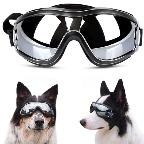 What Are Dog Goggles For