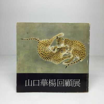 KAYO YAMAGUCHI PICTURE RECORD RETROSPECTIVE 1980 | eBay