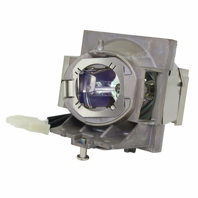for Viewsonic RLC-114 Projector Lamp with Housing (Original Philips Bulb Inside)
