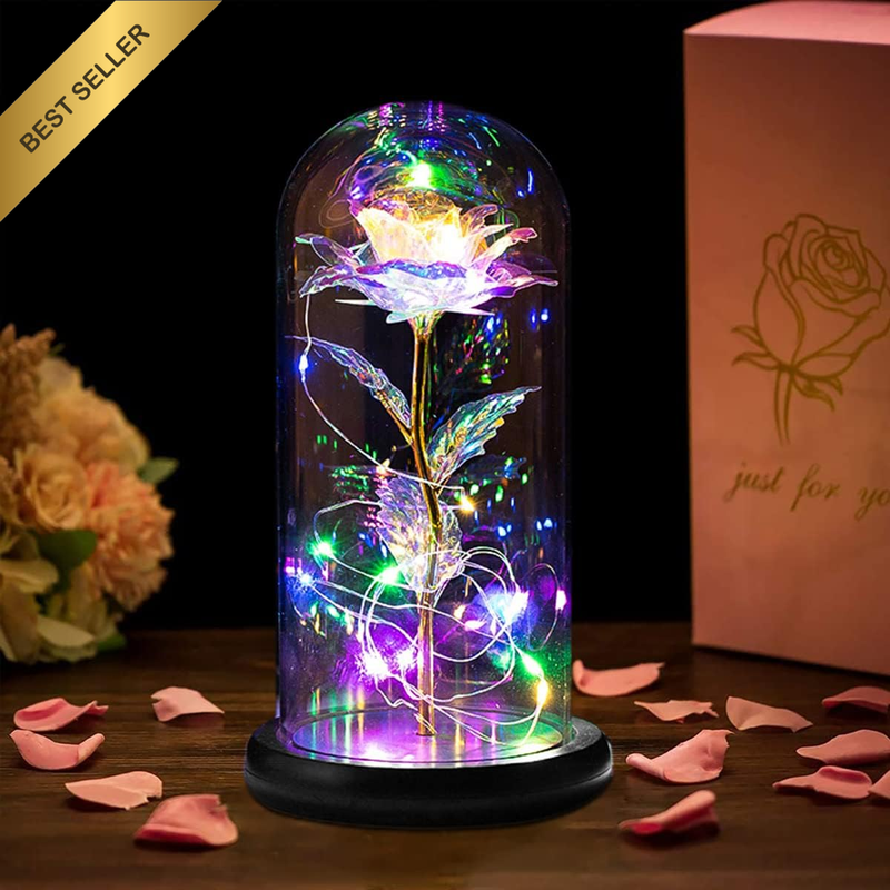 Glass Preserved Eternal Rose,Rose Flower in Glass Dome with LED String Lights Un