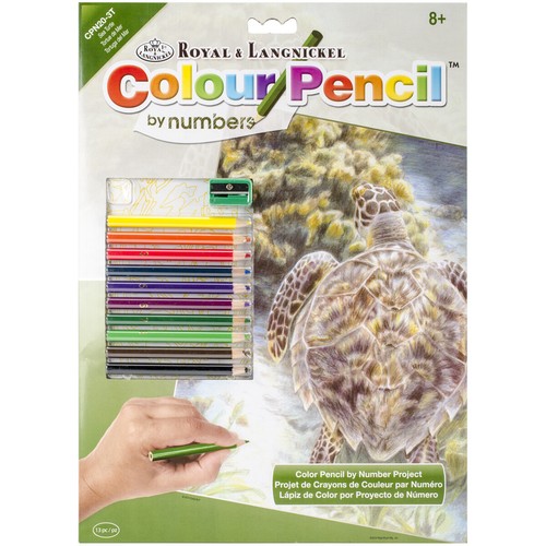 By Number Kit 8.75