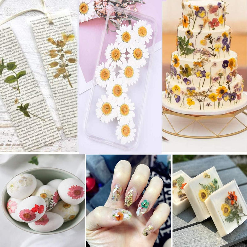 135PCS White Dried Pressed Flowers with Butterfly Stickers -  Real Nature Flower