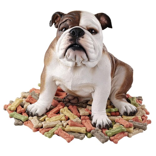 60 Second Makeover Grußkarte – Französische Bulldogge, Vatertag Geburtstag, A6, Mit Umschlag