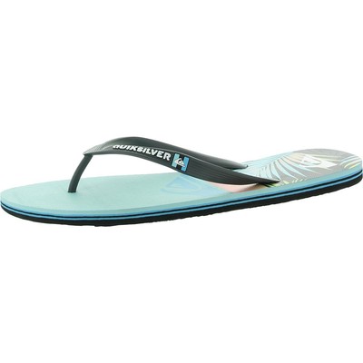 Мужские пляжные шлепанцы Quiksilver Molokai Panel Slip-On Toe Post BHFO 5381