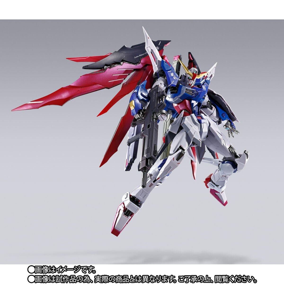 BANDAI - ガンダムL BUILD FESTIVAL 2024 METAL BUILD FESTIVAL 2024 Strike Freedom Gundam & Destiny