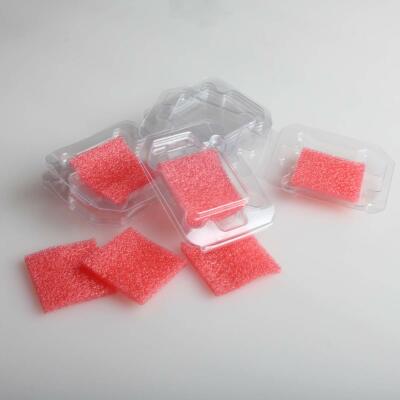 6Pcs CPU Plastic Protective Case/Clam Shell+EPE Protection Pads For intel cpu
