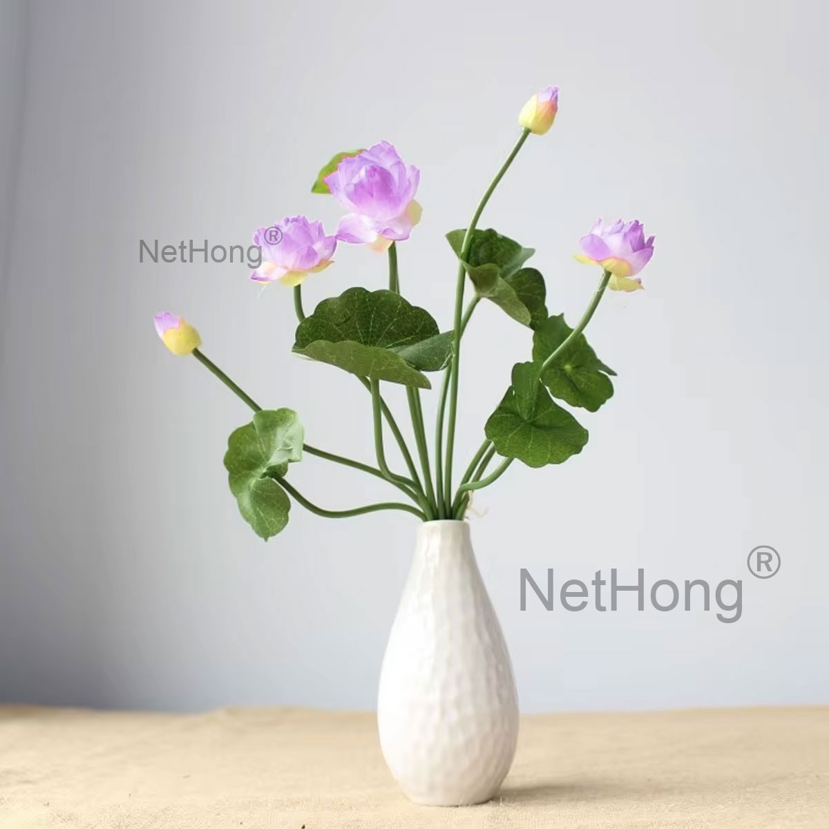 Lotus plant in a decorative container reference