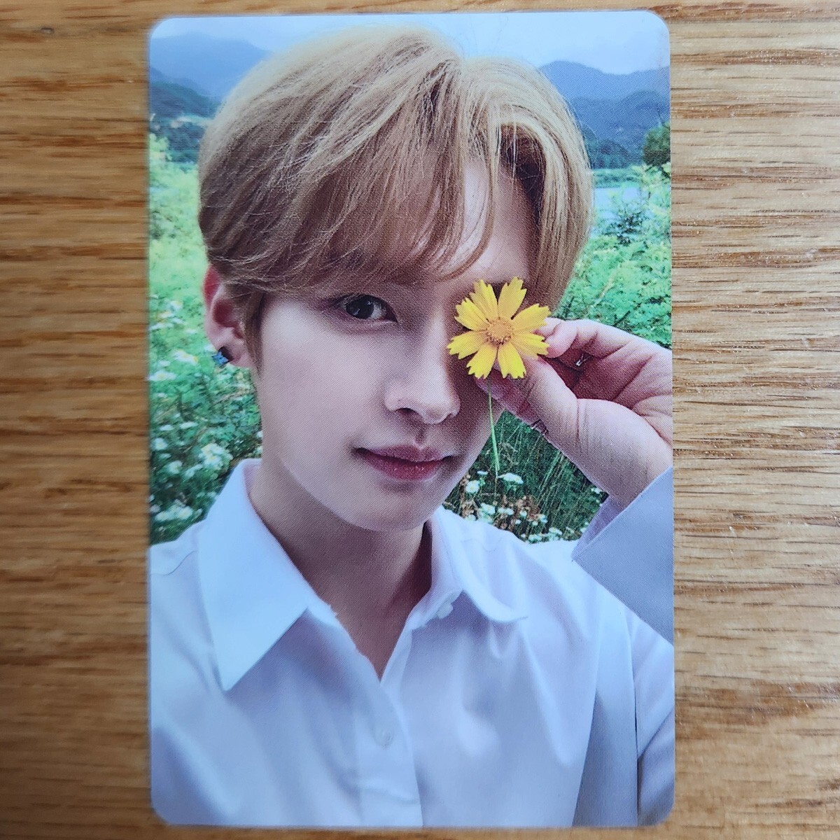 K-POP・アジア LeeKnow NOEASY Stray Kids NOEASY NOISY album official photocard double side