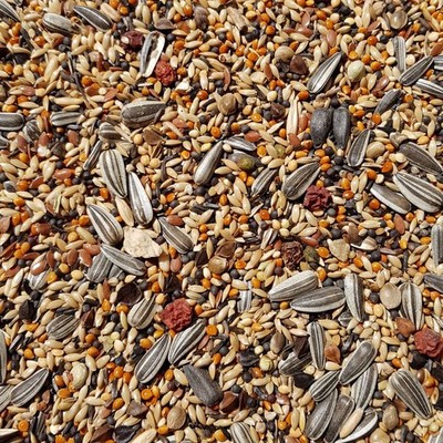 Supravit Waldvogelfutter mit Sonnenblumenkeren 25kg