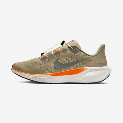 Мужские кроссовки Nike Air Zoom Pegasus 41 Prm Its HJ7331-276