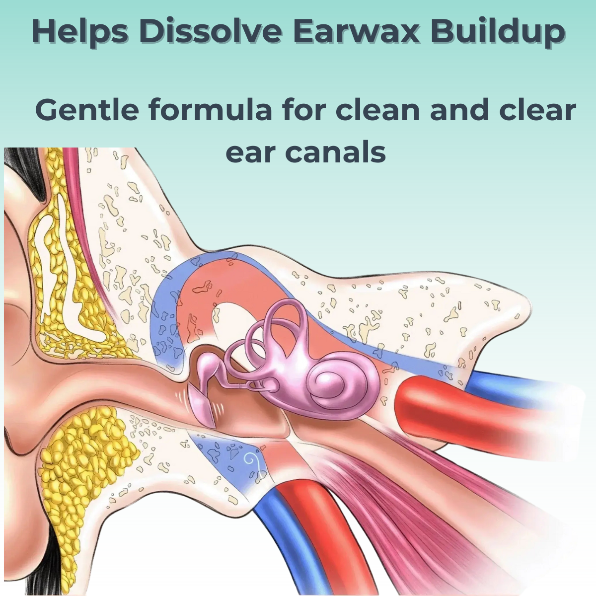 MediLisk Hearing Restoration Spray – Earwax Cleaning & Ear Care Solution 1 Floz