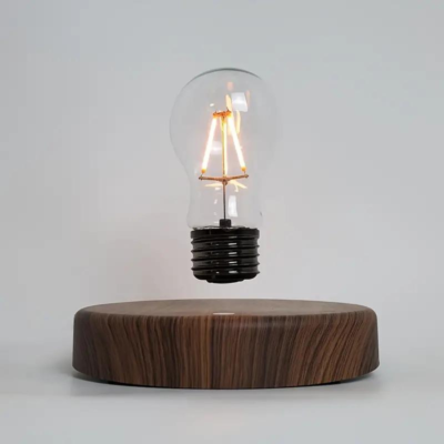 Edison lamp magnetic deals