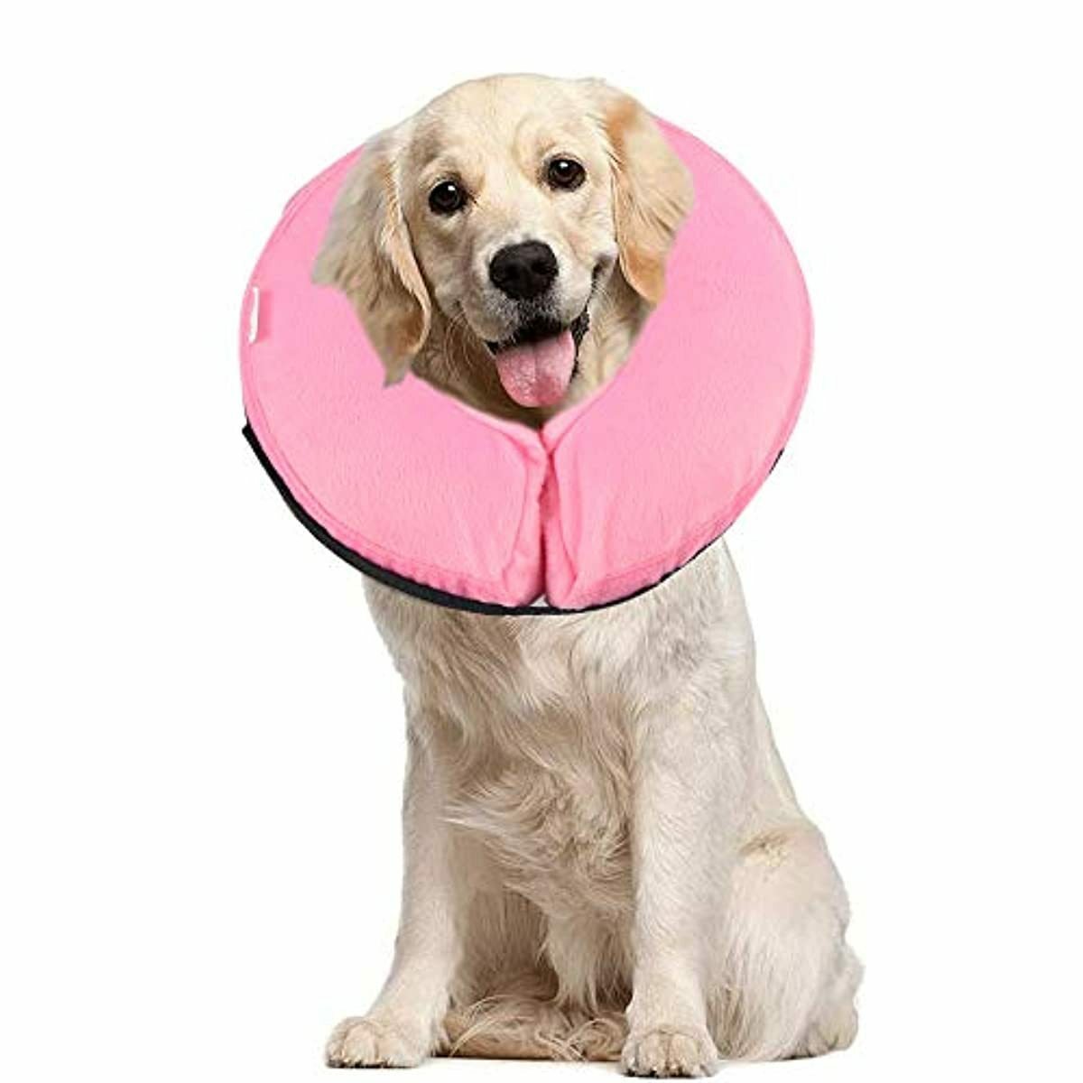 Pet Sppties Collier Gonflable De Recuperation Confortable Collerette De Protec Ebay