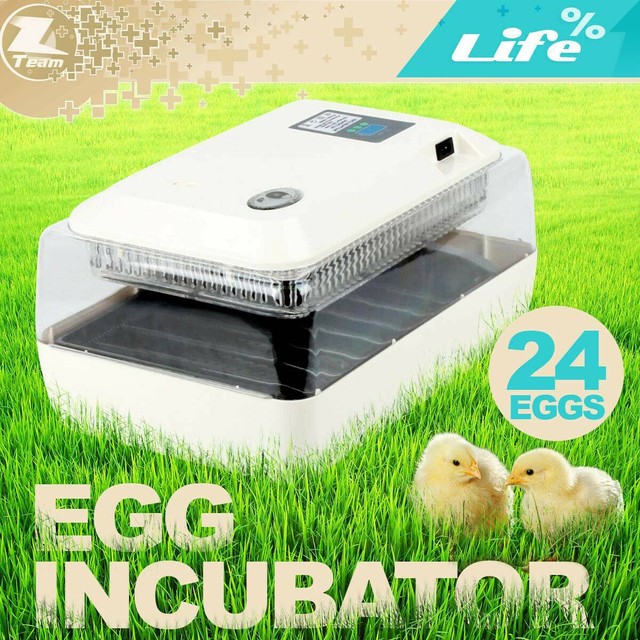 Duck egg incubator australia