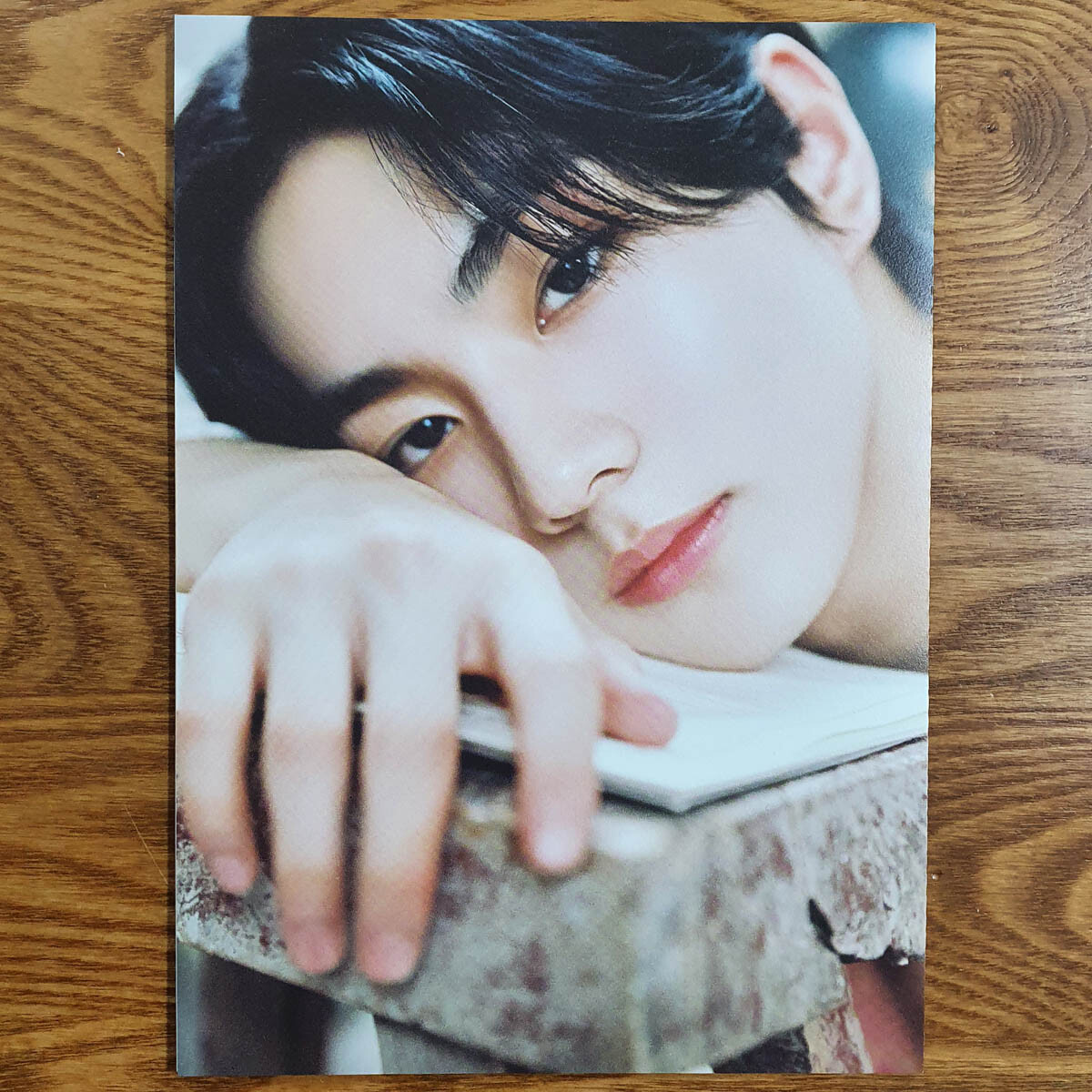 Jungwon Official Folded Mini Poster Enhypen 1st Album Dimension