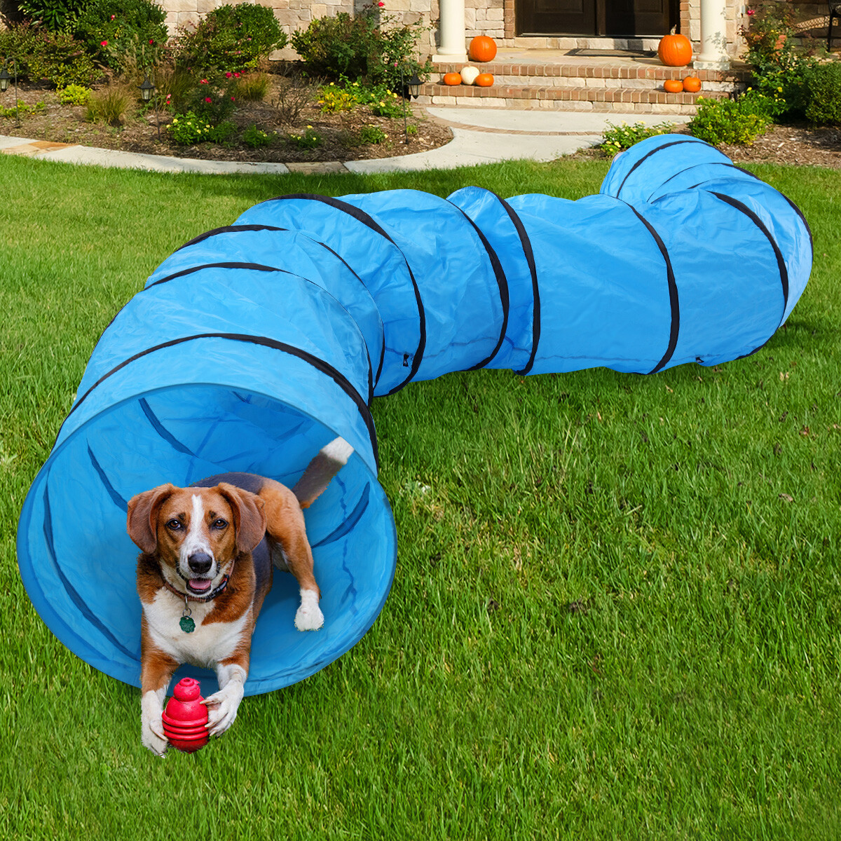 16.4’L Collapsible Pet Dog Agility Training Tunnel ...