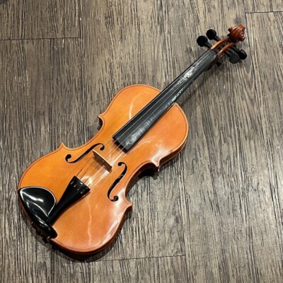 Palatino バイオリン 1/16 Amazon.com: Palatino VN-350-1/16 Campus Violin Outfit, 1/16