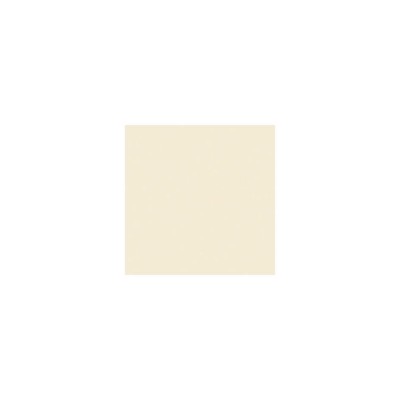 Rosco 6 Roscolux No Color Straw, цветной фильтр 20x24 #100000062024