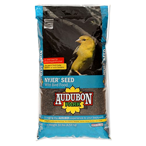 Nyjer Thistle Seed Wild Bird Food For Use In Finch Tube Or Sock