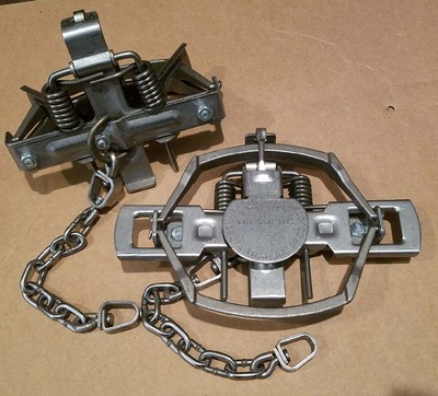 6 Mb 550 Rc Trap Offset Cast Jaw S 2 Coil Trapping Coyote Bobcat Fox Half Dozen