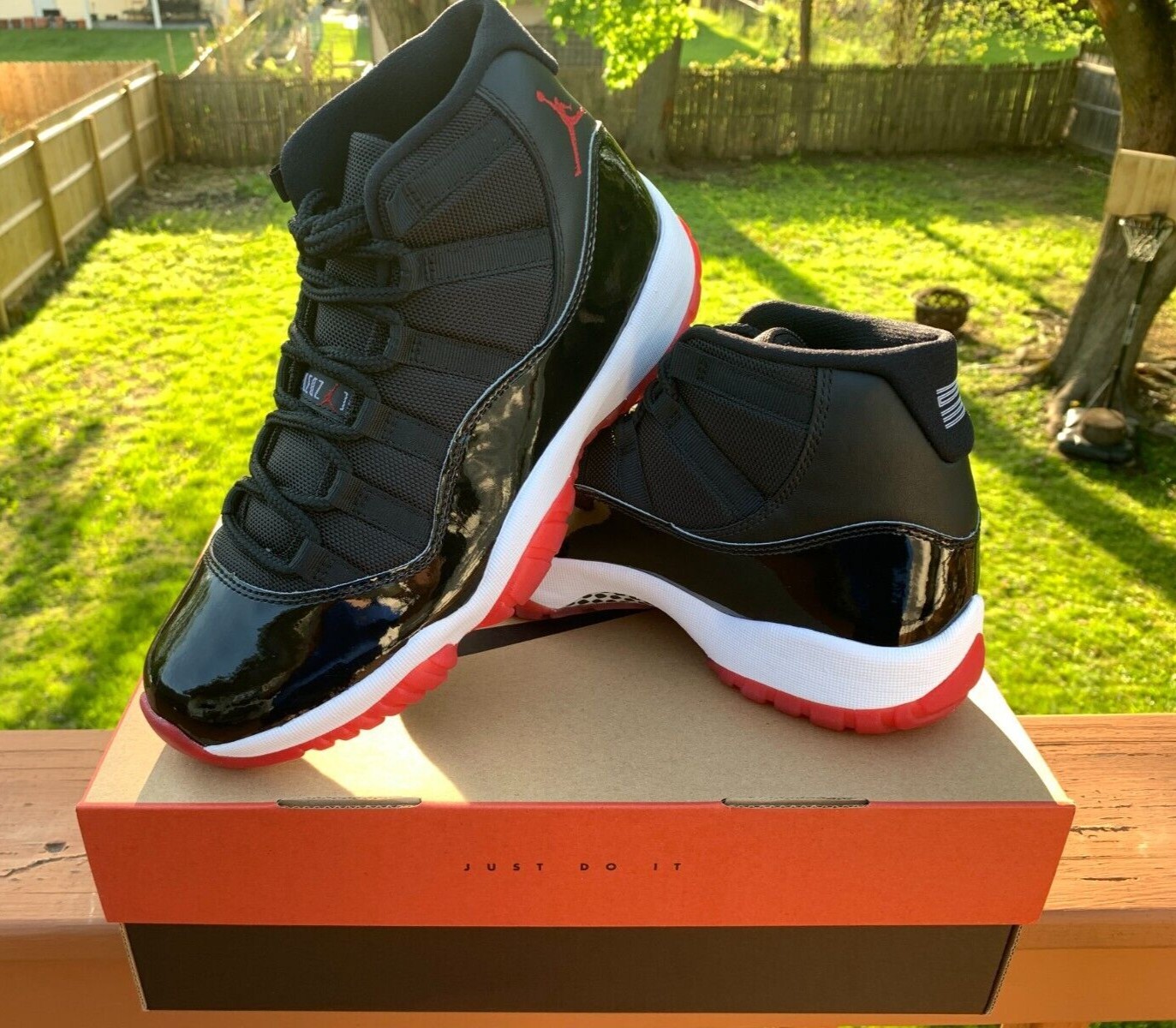 2019 bred 11