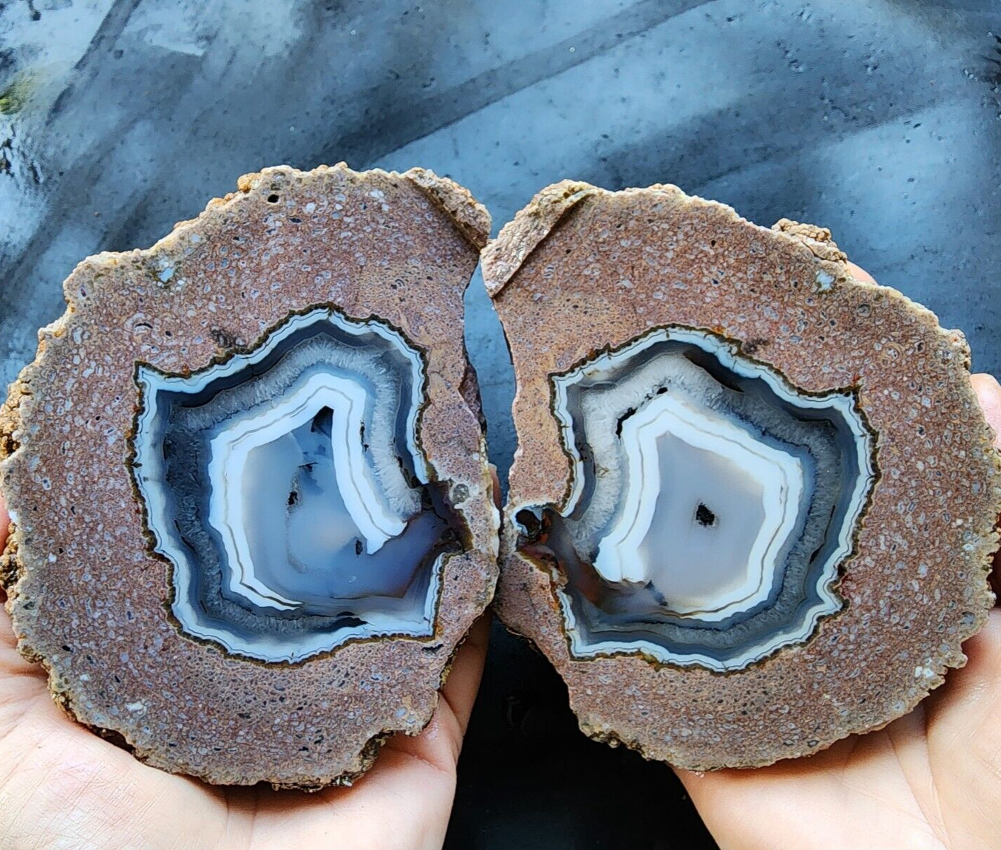 2.7 lbs (1.22 kg) Thunder Eggs, Thunderegg, Thunder Egg