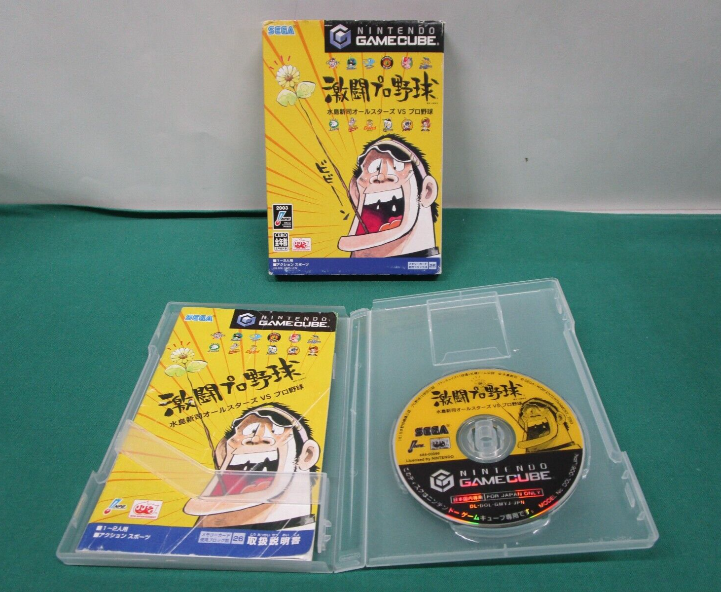 Game Cube -- Gekitou Pro Yakyu Baseball -- Nintendo GC
