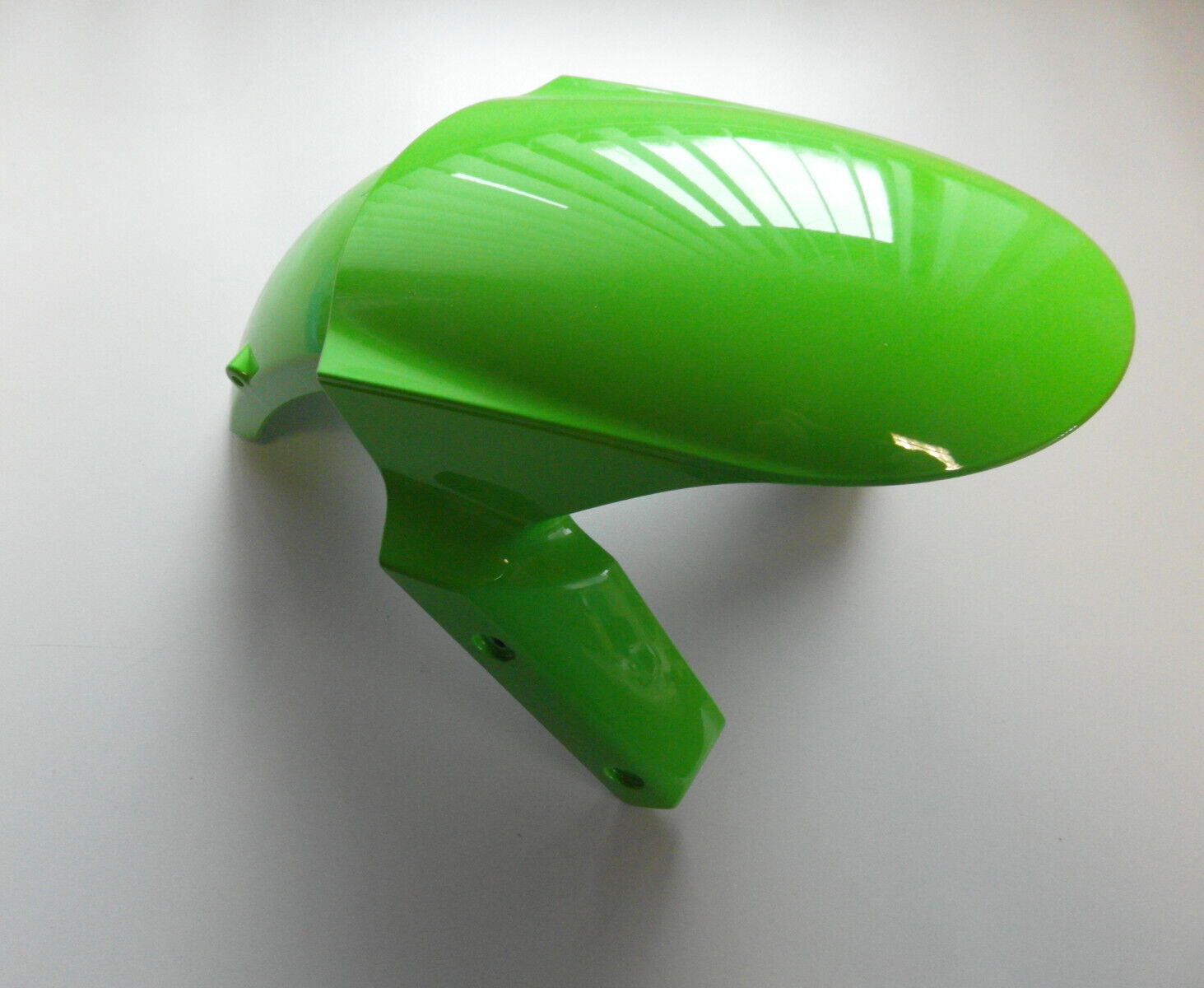 タイタン KAWASAKI Genuine Ninja ZX10R FRONT FENDER MUDGUARD GREEN